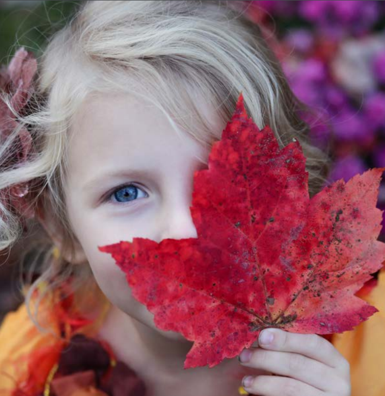 Bilde av jente som holder et stort rødt høstblad foran øye og munn.