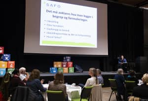 Tove Linnea Brandviks innlegg om BPA utredningen.
