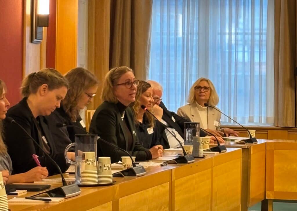 Janne Skei på høring i komiteen.